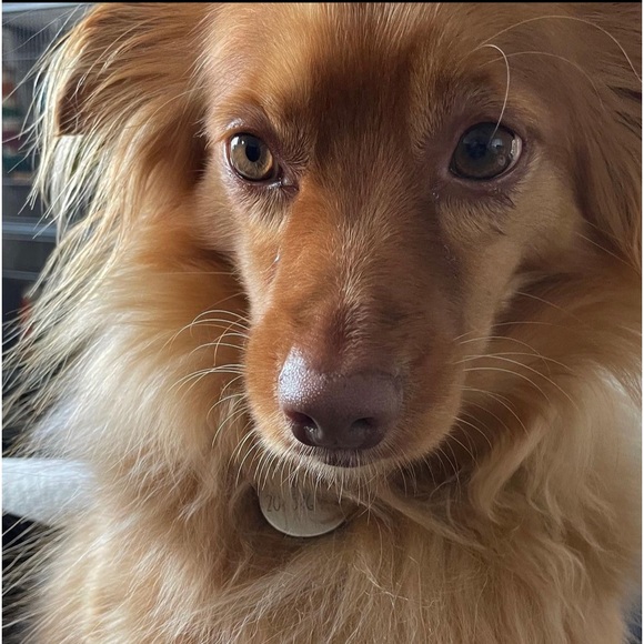 🌸🌷Happy 2024 Everyone! Thank you for the follows! 💕 - Picture 14 of 16